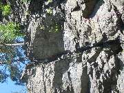 zv�t�it