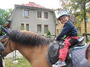 zv�t�it